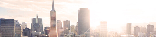 企信易-信譽(yù)動(dòng)態(tài)資訊圖